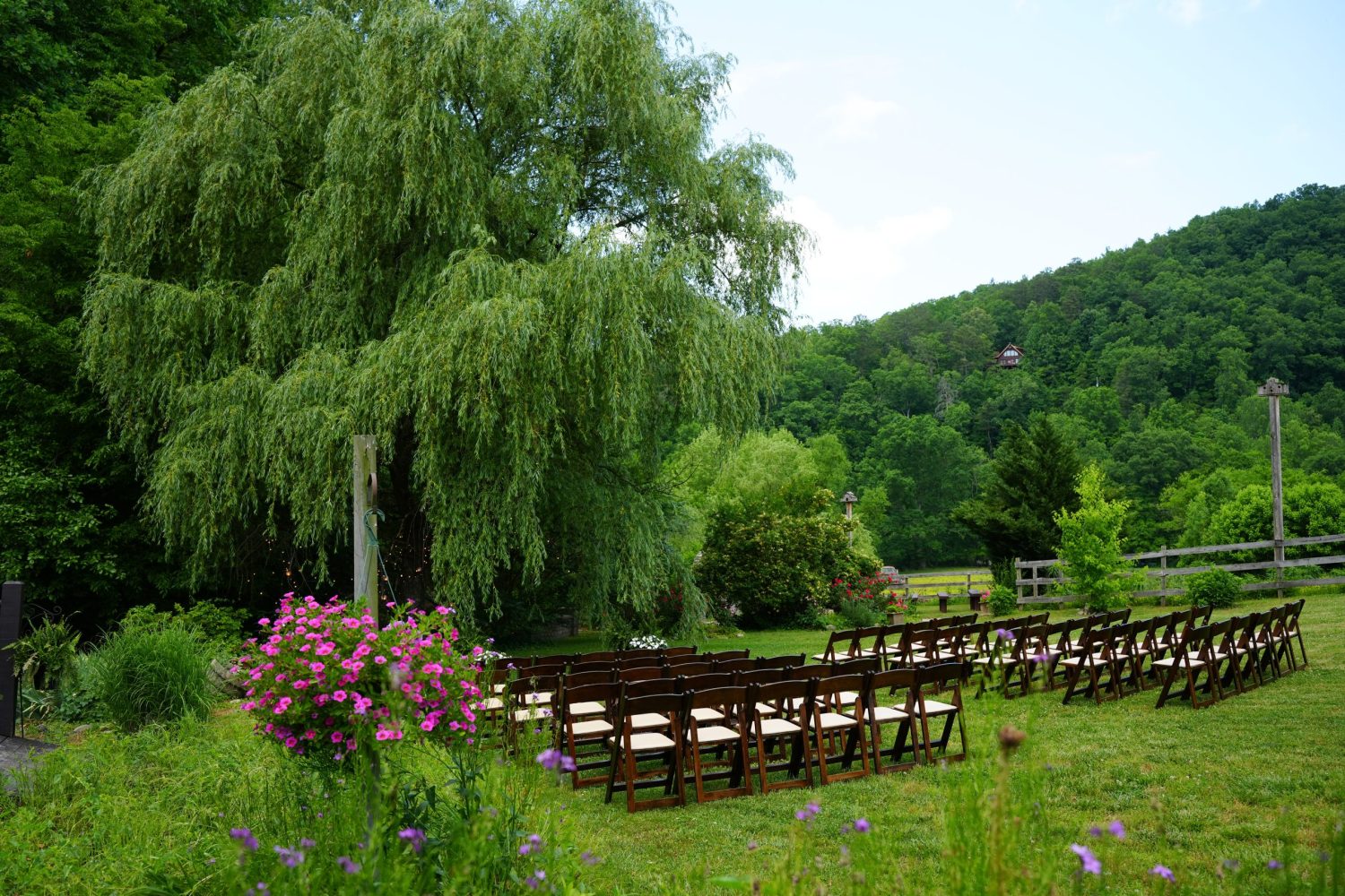 summer-wedding-willow-tree-ceremony