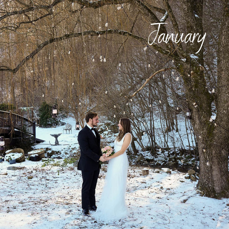 January 2025 Wedding