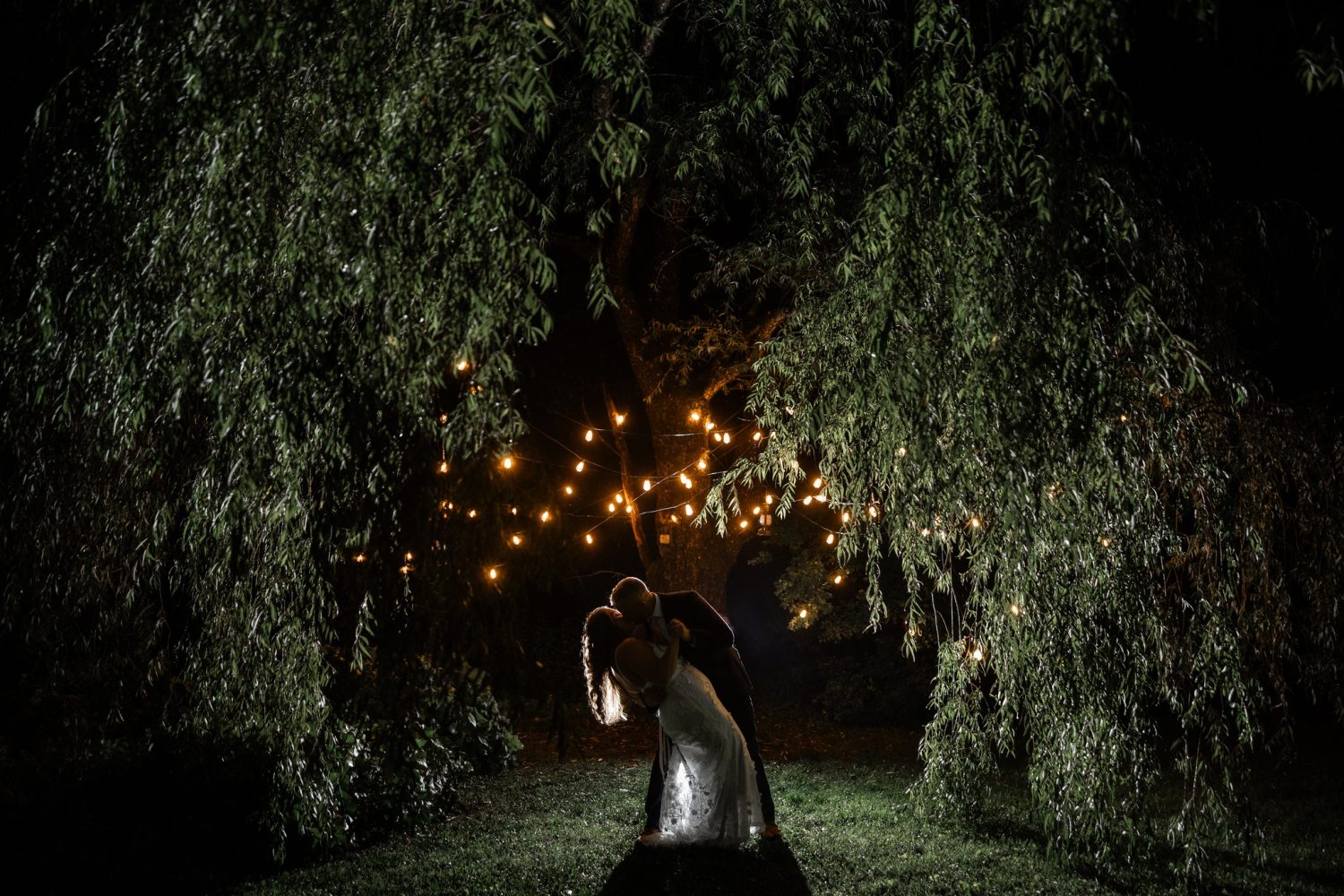 Night time romantic photo under a willow tree with string lights and lanterns