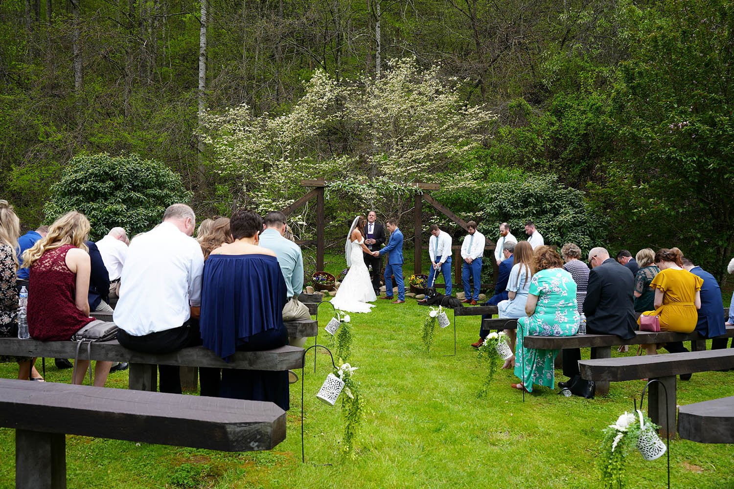 spring dogwoods in bloom above a wedding ceremony with a forest theme at Honeysuckle Hills in the spring